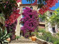 183 D23 BORMES LES MIMOSAS 1_000033
